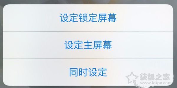 苹果iphonex如何设置动态壁纸？iphonex设置live photo动态壁纸方法